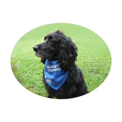 Image of Pet Neckerchiefs